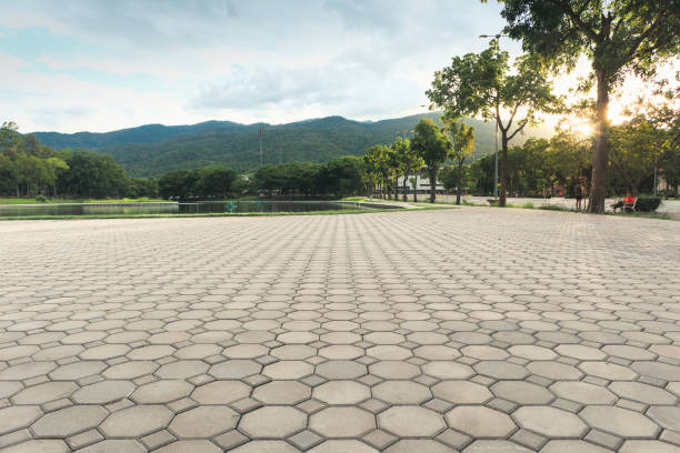 Best Best Driveway Pavers  in Dunean, SC